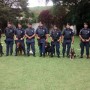 Cães da GCM atuam no policiamento e em abordagem terapêutica