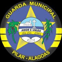 Guarda Municipal do Pilar é acionada após idoso ser atacado por abelhas