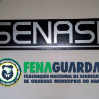 FENAGUARDAS reune-se com representantes da SENASP