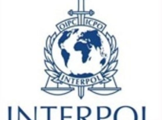 SEGEN firma parceria para ofertar cursos disponibilizados pela plataforma do INTERPOL