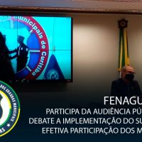 Fenaguardas participa de audiência pública que debate implementação do SUSP com a efetiva participação dos municípios