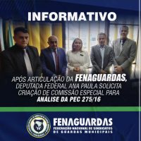 Após articulação da FENAGUARDAS, deputada federal Ana Paula solicita criação de Comissão Especial para análise da PEC 275/16