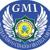 Jovens envolvidos em roubo são presos pela PC e GCM de Ibateguara