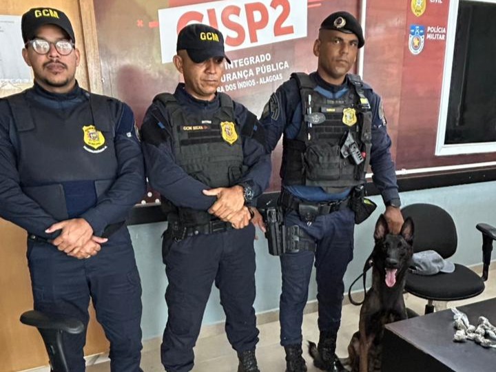 Guarda Municipal de Palmeira dos Índios apreende drogas com apoio do cão farejador Apolo